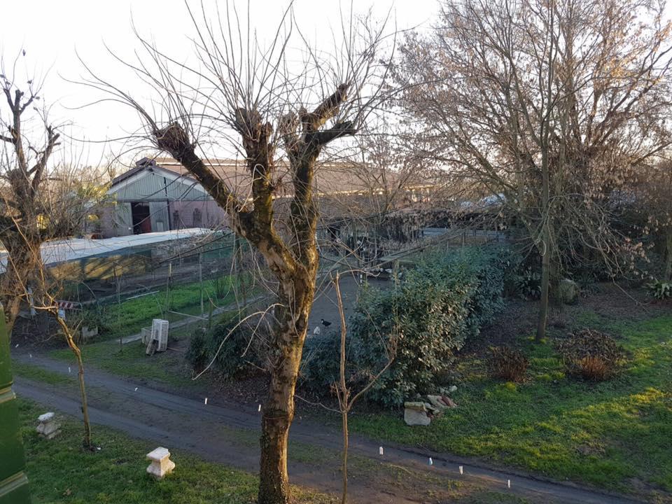 Alojamento de Turismo Rural Mocenigo Mirano